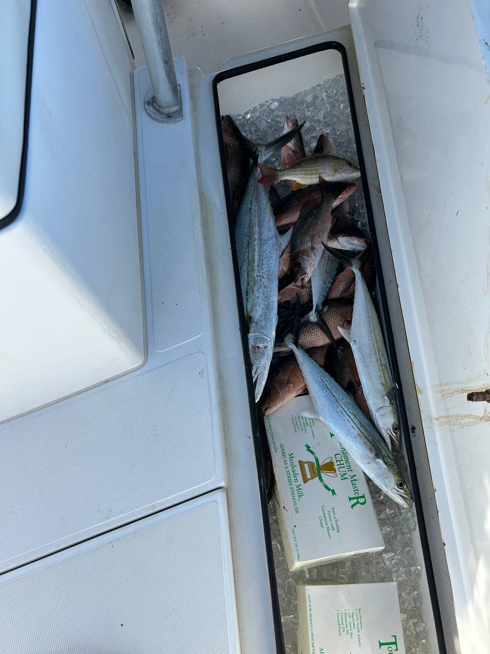Boat fish box filled with mixed fish on ice
