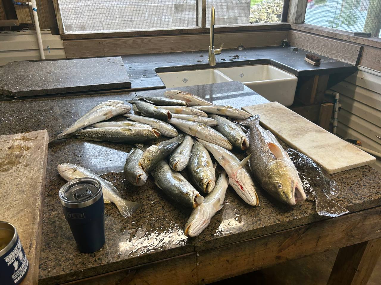 A full cleaning table covered with redfish, trout, and mixed coastal fish